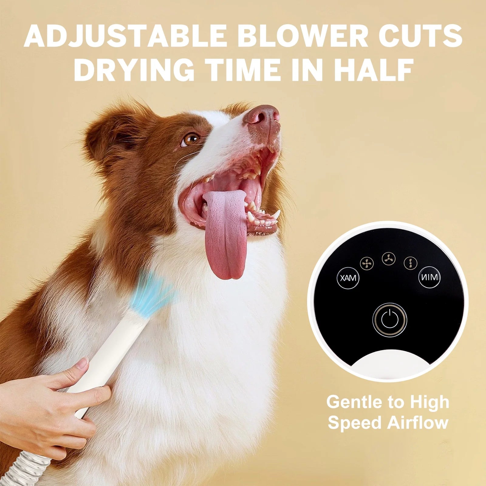 4 in 1 Low Noise Pet Grooming Vacuum