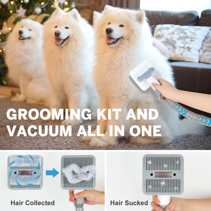 4 in 1 Low Noise Pet Grooming Vacuum